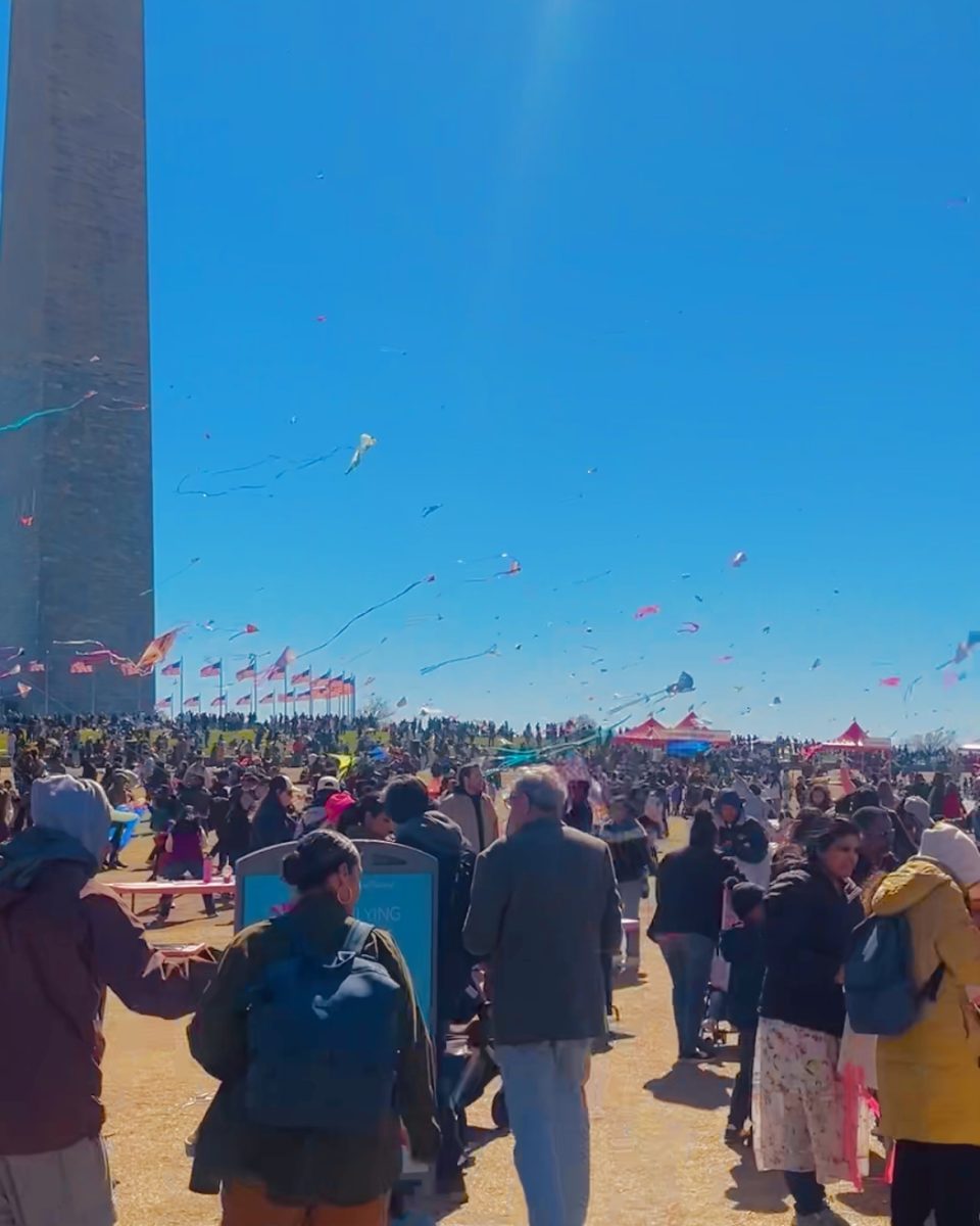 Washington D.C. Kite Festival | Photo Album